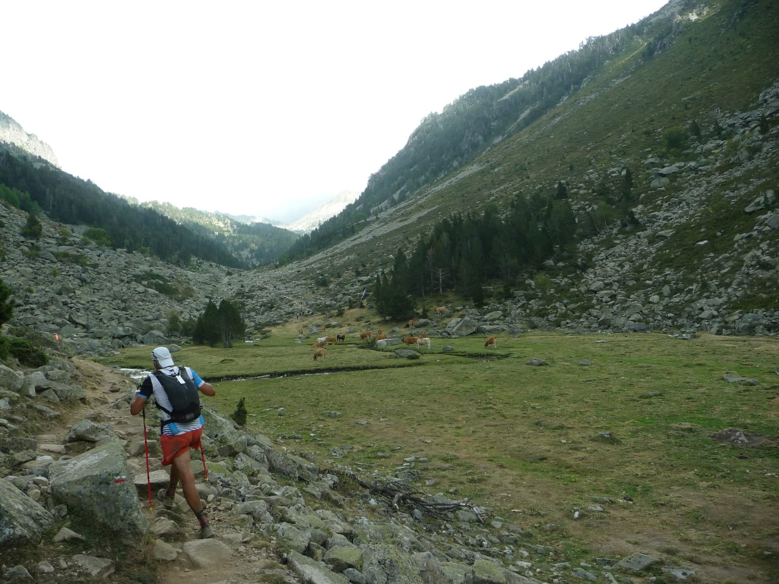 Préparer son premier trail de 50km : guide complet