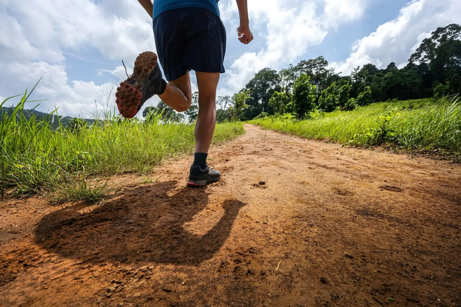 Fréquence cardiaque en trail : comprendre tes zones, calibrer tes séances et progresser