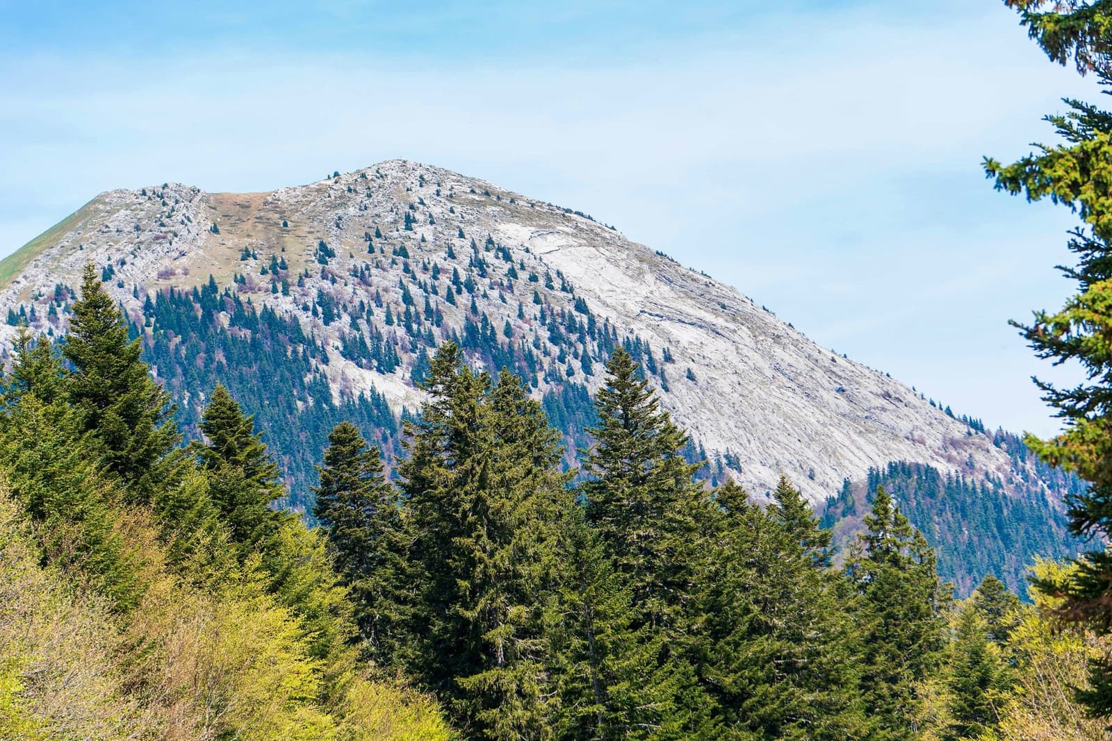 UT4M 2025&nbsp;: Derniers conseils avant le grand départ